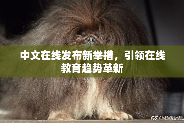中文在线发布新举措，引领在线教育趋势革新