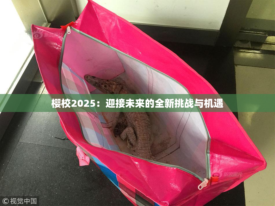 樱校2025：迎接未来的全新挑战与机遇