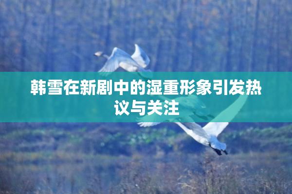 韩雪在新剧中的湿重形象引发热议与关注