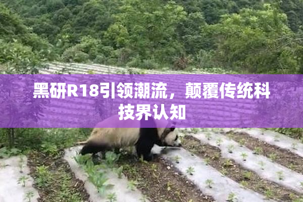 黑研R18引领潮流，颠覆传统科技界认知