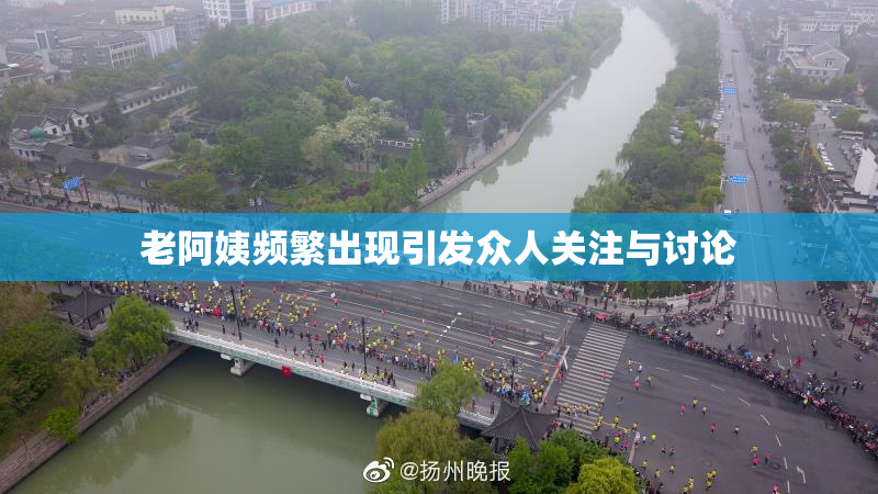 老阿姨频繁出现引发众人关注与讨论
