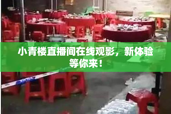 小青楼直播间在线观影，新体验等你来！