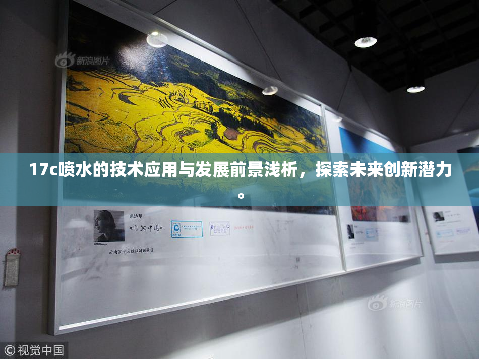 17c喷水的技术应用与发展前景浅析，探索未来创新潜力。