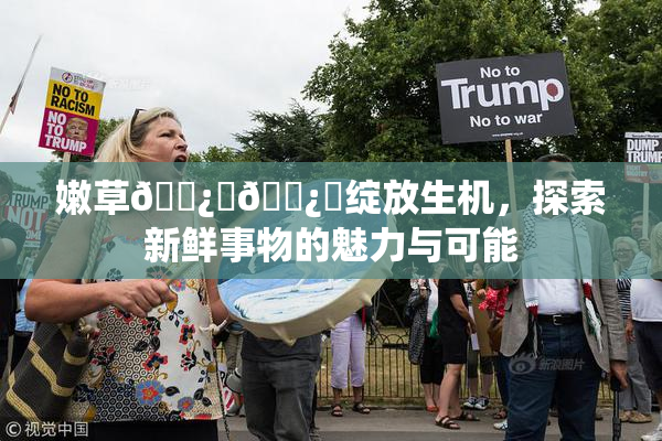 嫩草🌿‌🌿‌绽放生机，探索新鲜事物的魅力与可能