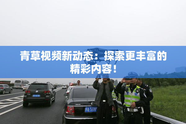 青草视频新动态：探索更丰富的精彩内容！