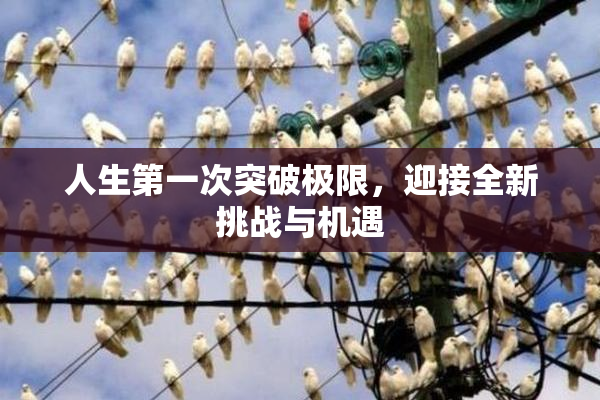 人生第一次突破极限，迎接全新挑战与机遇