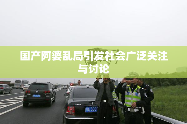 国产阿婆乱局引发社会广泛关注与讨论