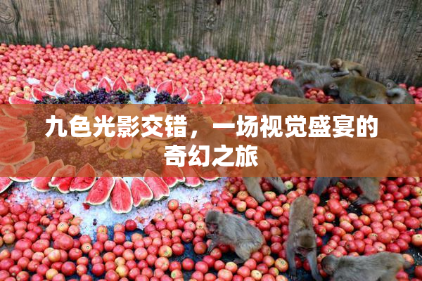 九色光影交错，一场视觉盛宴的奇幻之旅