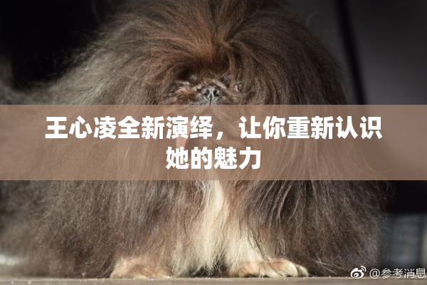 王心凌全新演绎，让你重新认识她的魅力