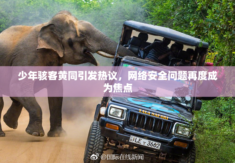 少年骇客黄同引发热议，网络安全问题再度成为焦点