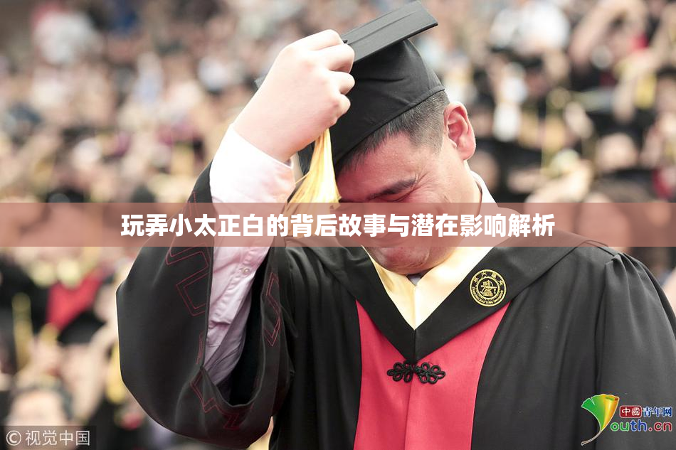 玩弄小太正白的背后故事与潜在影响解析
