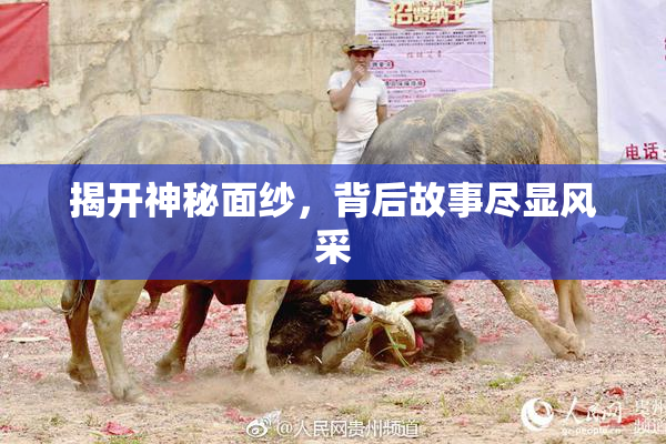 揭开神秘面纱，背后故事尽显风采