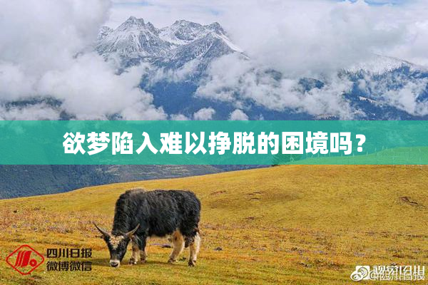 欲梦陷入难以挣脱的困境吗？