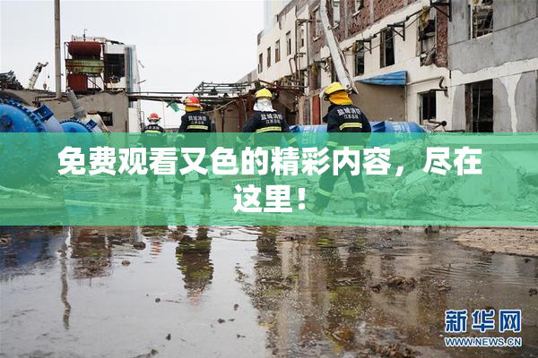 免费观看又色的精彩内容，尽在这里！