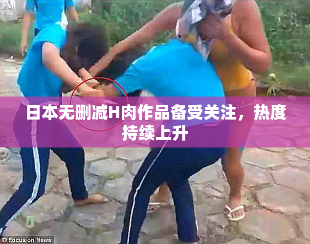 日本无删减H肉作品备受关注，热度持续上升
