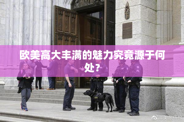 欧美高大丰满的魅力究竟源于何处？
