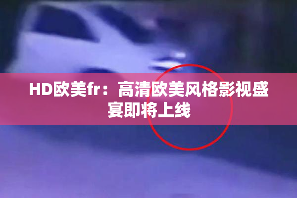 HD欧美fr：高清欧美风格影视盛宴即将上线