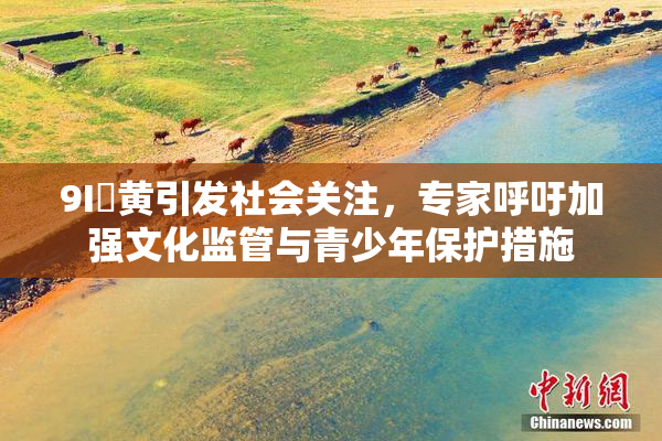 9I婬黄引发社会关注，专家呼吁加强文化监管与青少年保护措施