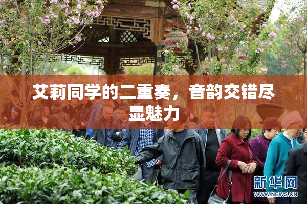 艾莉同学的二重奏，音韵交错尽显魅力