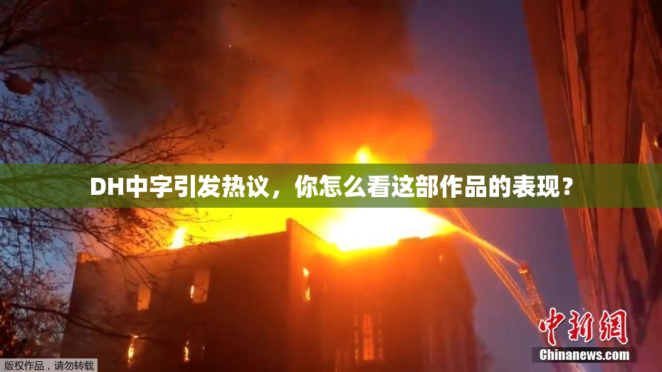 DH中字引发热议，你怎么看这部作品的表现？