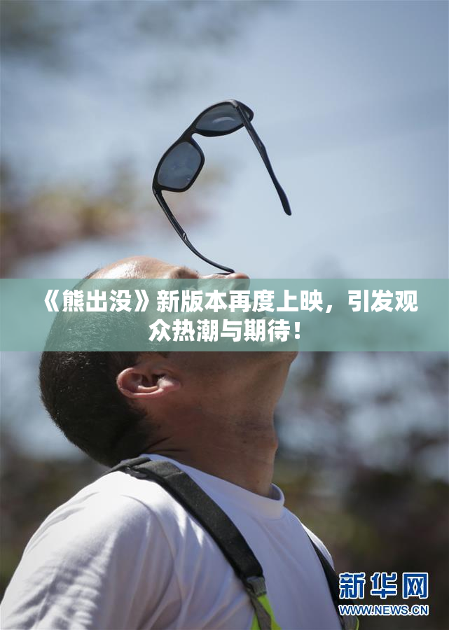 《熊出没》新版本再度上映，引发观众热潮与期待！
