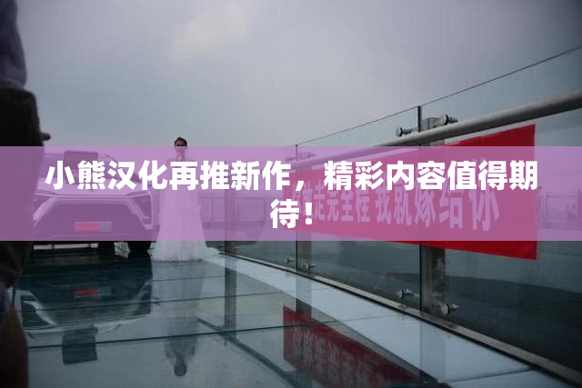 小熊汉化再推新作，精彩内容值得期待！