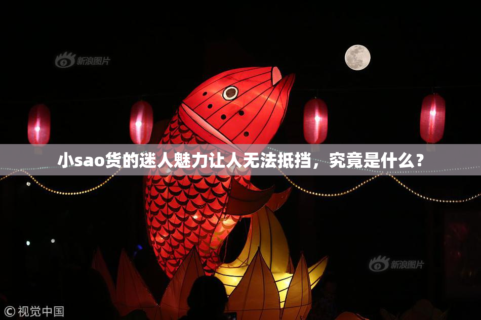 小sao货的迷人魅力让人无法抵挡，究竟是什么？