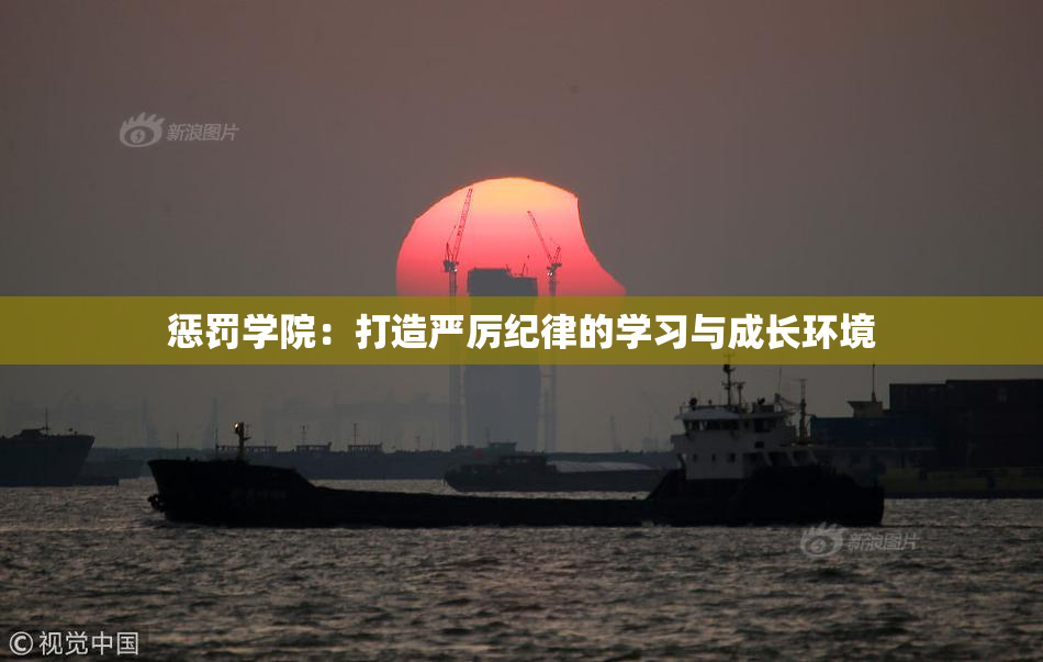 惩罚学院：打造严厉纪律的学习与成长环境