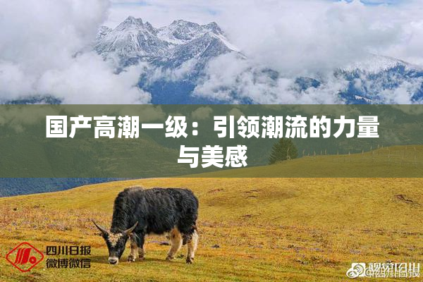 国产高潮一级：引领潮流的力量与美感