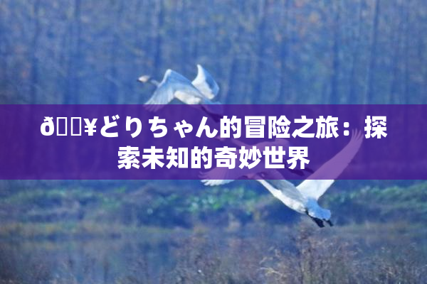 🔥どりちゃん的冒险之旅：探索未知的奇妙世界