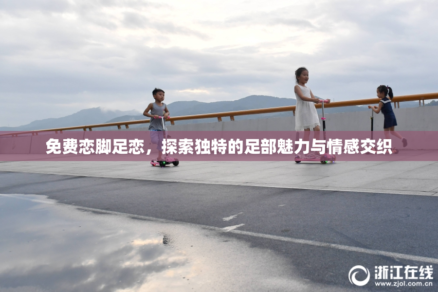 免费恋脚足恋，探索独特的足部魅力与情感交织