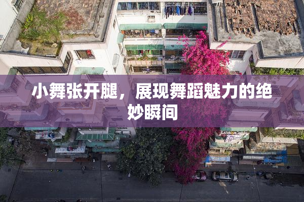 小舞张开腿，展现舞蹈魅力的绝妙瞬间