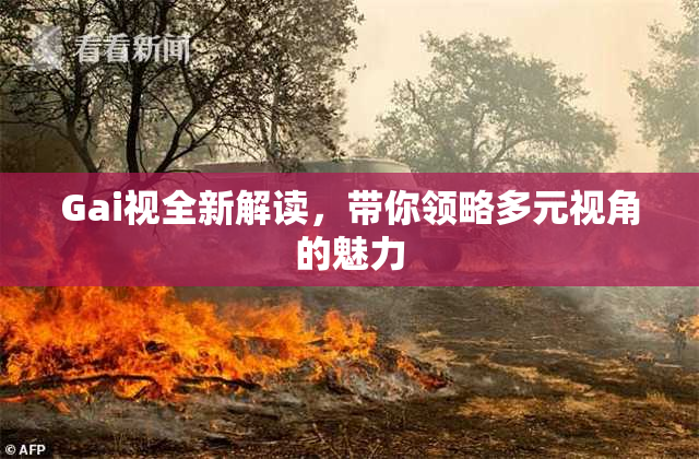 Gai视全新解读，带你领略多元视角的魅力