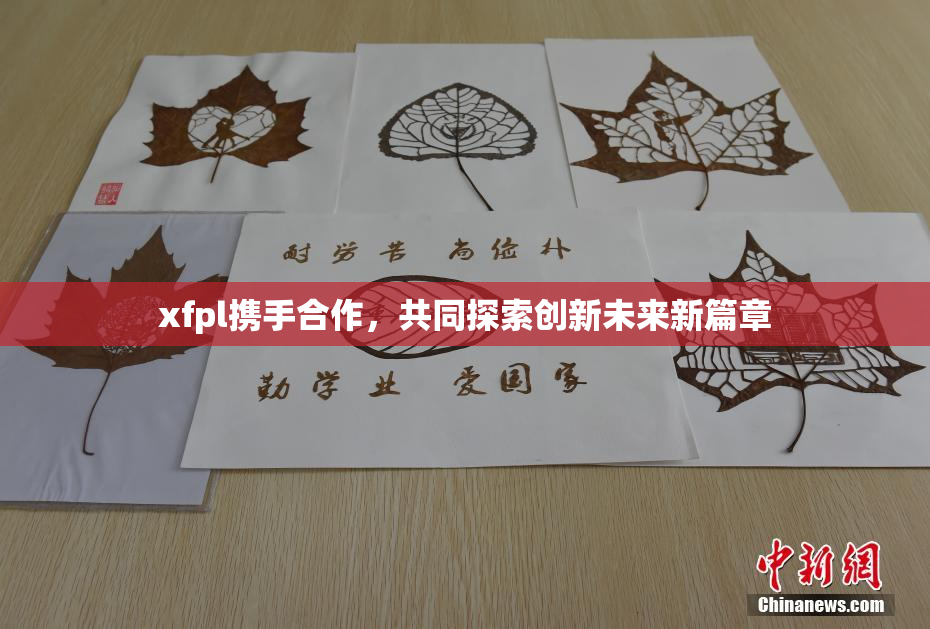xfpl携手合作，共同探索创新未来新篇章