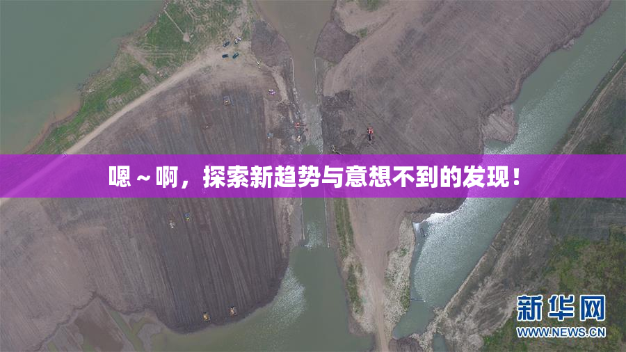 嗯～啊，探索新趋势与意想不到的发现！