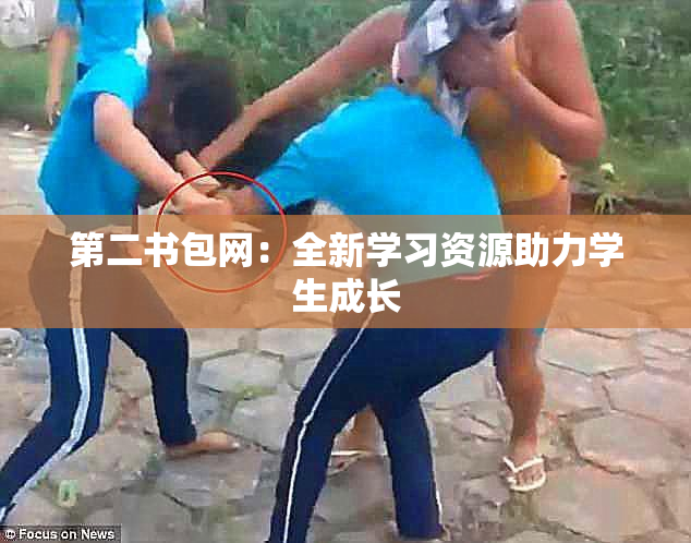 第二书包网：全新学习资源助力学生成长