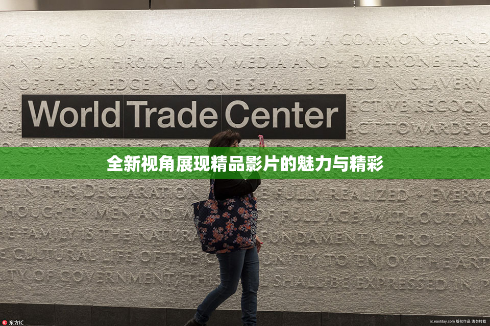 全新视角展现精品影片的魅力与精彩