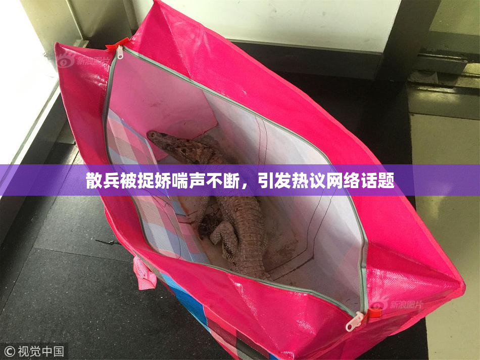 散兵被捉娇喘声不断，引发热议网络话题