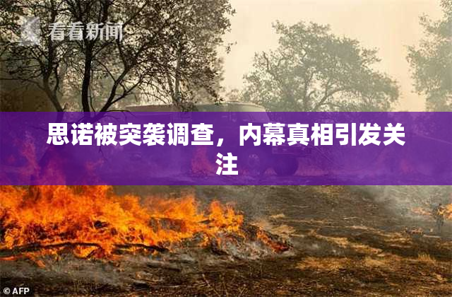 思诺被突袭调查，内幕真相引发关注