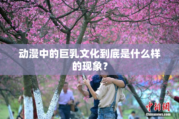 动漫中的巨乳文化到底是什么样的现象？