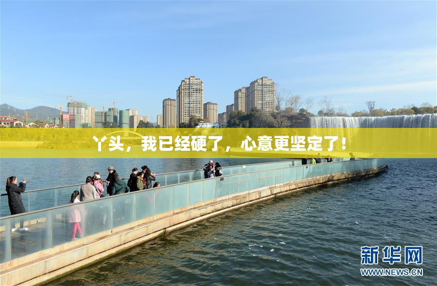 丫头，我已经硬了，心意更坚定了！