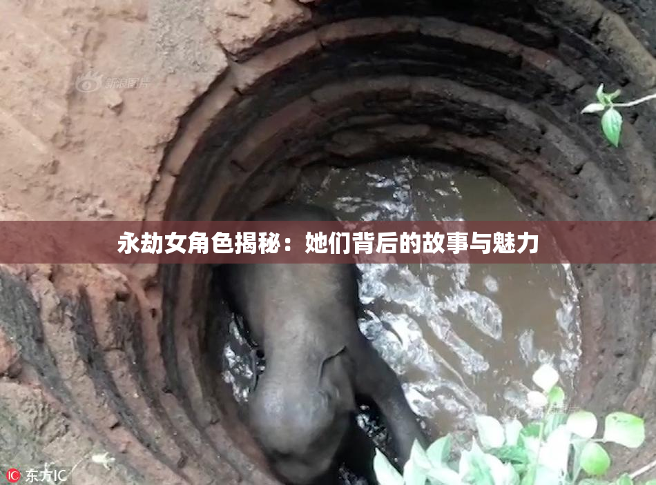 永劫女角色揭秘：她们背后的故事与魅力