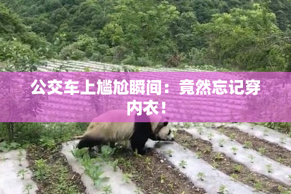 公交车上尴尬瞬间：竟然忘记穿内衣！