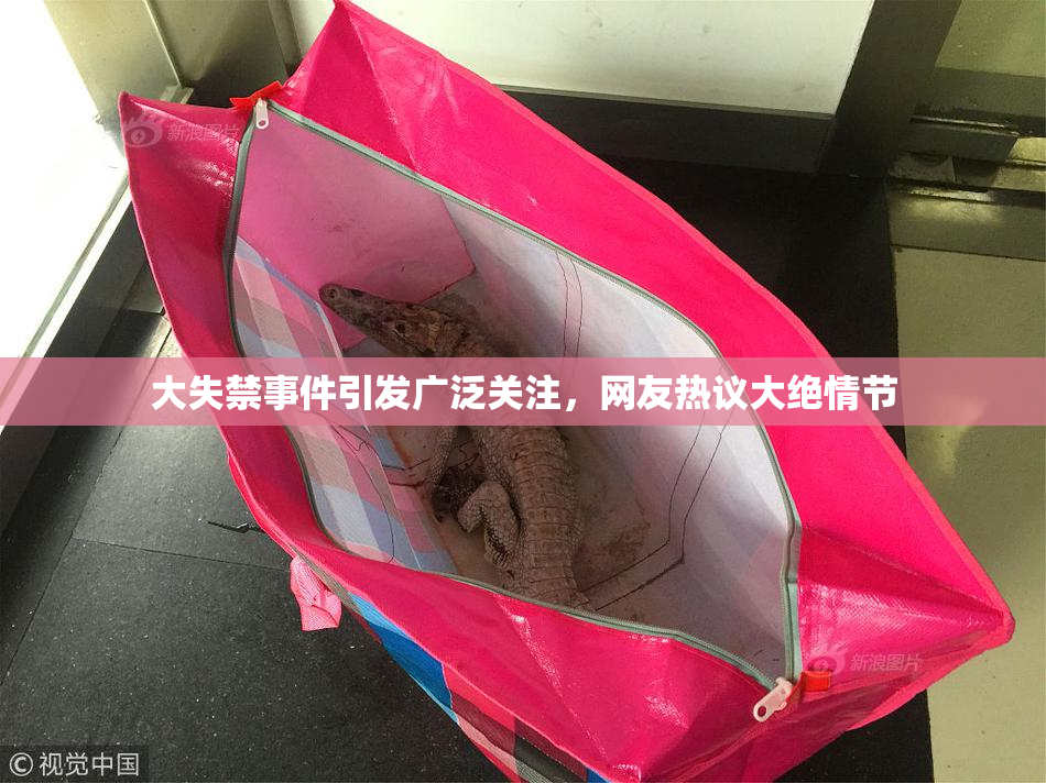 大失禁事件引发广泛关注，网友热议大绝情节