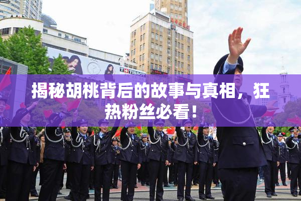 揭秘胡桃背后的故事与真相，狂热粉丝必看！