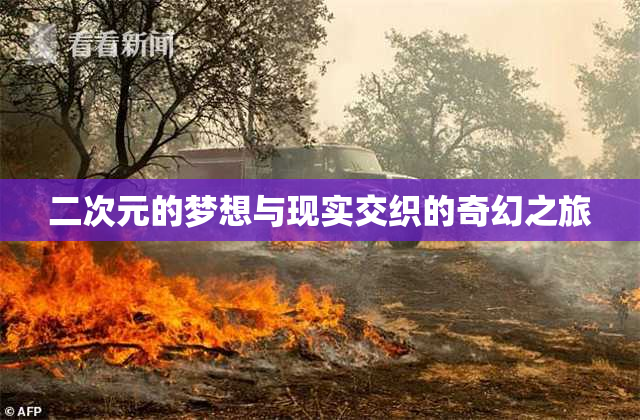 二次元的梦想与现实交织的奇幻之旅