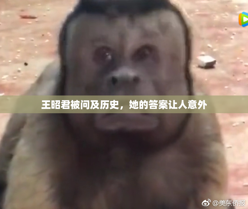 王昭君被问及历史，她的答案让人意外
