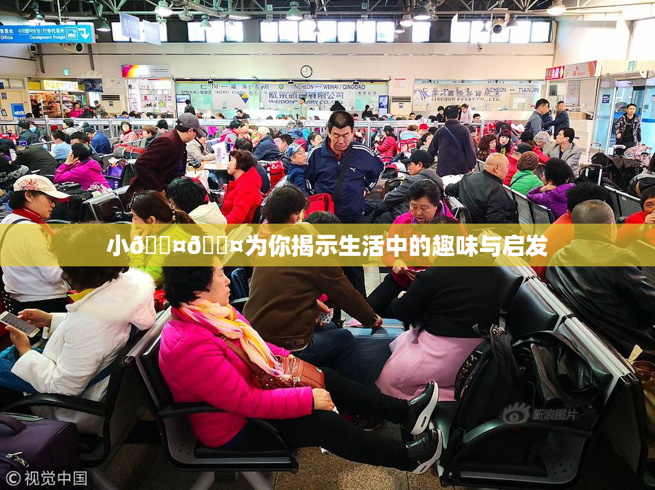 小🐤🐤为你揭示生活中的趣味与启发