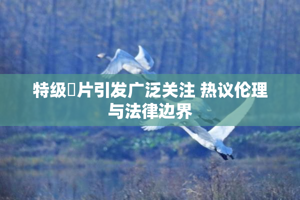特级婬片引发广泛关注 热议伦理与法律边界