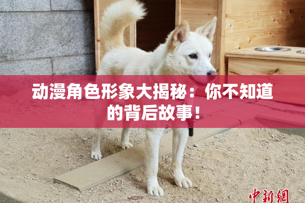 动漫角色形象大揭秘：你不知道的背后故事！